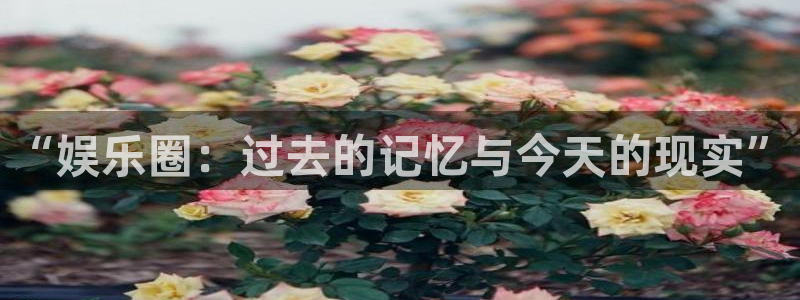 新航娱乐官网登录入口：“娱乐圈：过去的记忆与今天的现实”