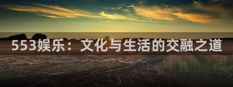 新航娱乐：553娱乐：文化与生活的交融之道
