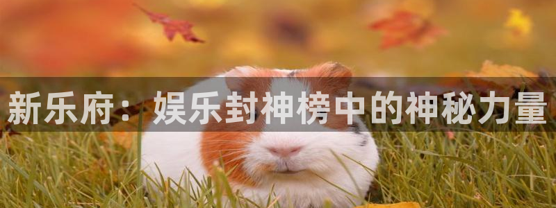 新航娱乐注册：新乐府：娱乐封神榜中的神秘力量