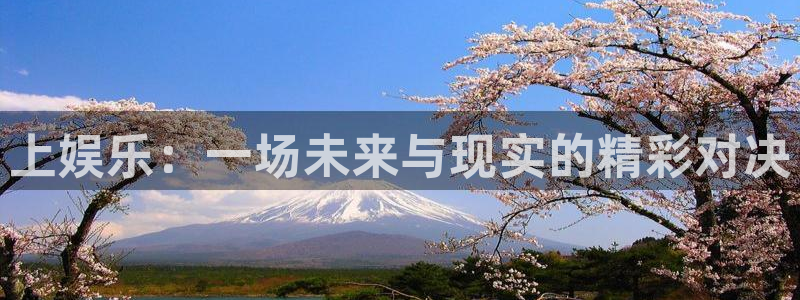 新航娱乐注册：上娱乐：一场未来与现实的精彩对决