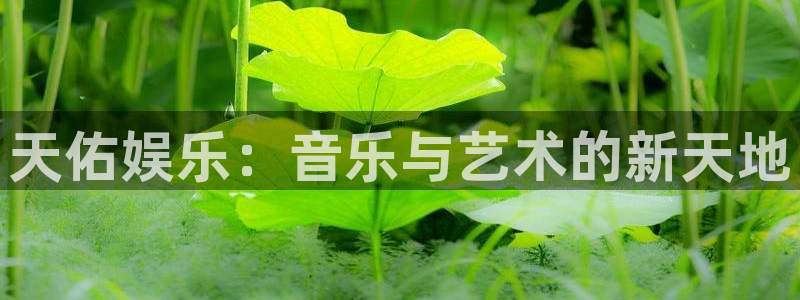 新航娱乐：天佑娱乐：音乐与艺术的新天地