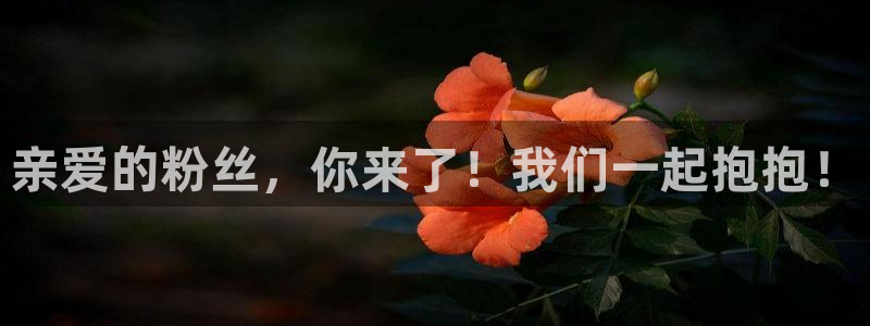 新航娱乐官网：亲爱的粉丝，你来了！我们一起抱抱！