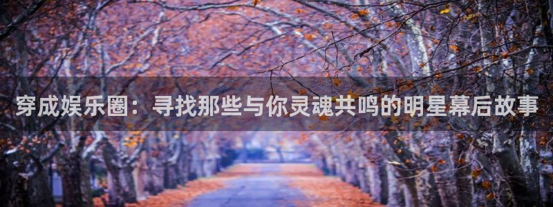 新航娱乐：穿成娱乐圈：寻找那些与你灵魂共鸣的明星幕后故事