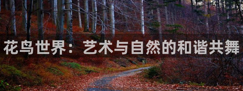 新航娱乐登录地址：花鸟世界：艺术与自然的和谐共舞