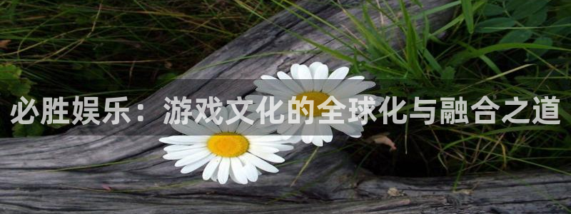 新航娱乐登录地址：必胜娱乐：游戏文化的全球化与融合之道
