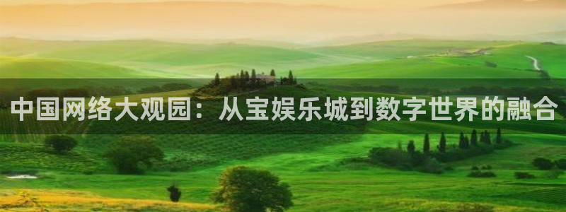 新航娱乐官网：中国网络大观园：从宝娱乐城到数字世界的融合