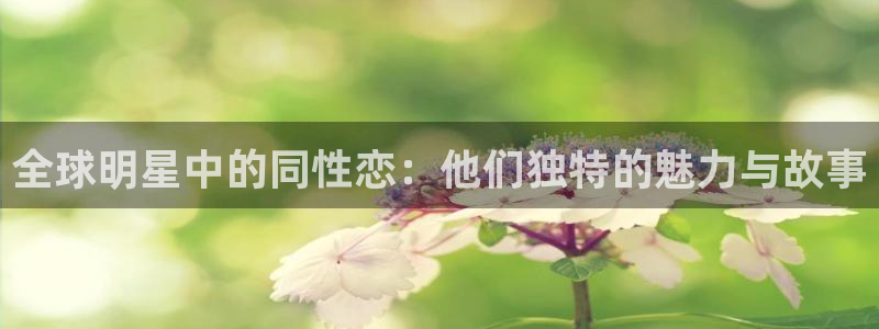 新航娱乐官网：全球明星中的同性恋：他们独特的魅力与故事