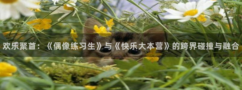 新航娱乐：欢乐聚首：《偶像练习生》与《快乐大本营》的跨界碰撞与融合