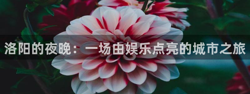 新航娱乐官网登录入口：洛阳的夜晚：一场由娱乐点亮的城市之旅